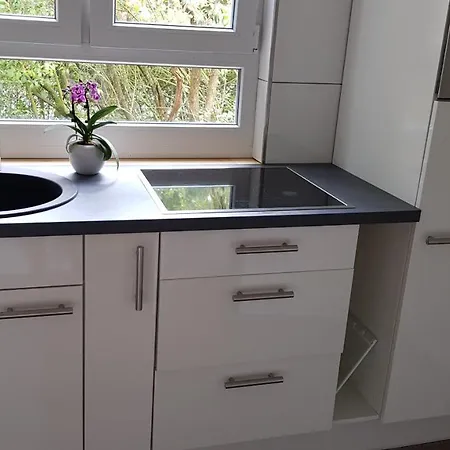 Helle Dhh Mit Ueberdachter Terrasse アパート