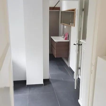 Helle Dhh Mit Ueberdachter Terrasse Oldenburg